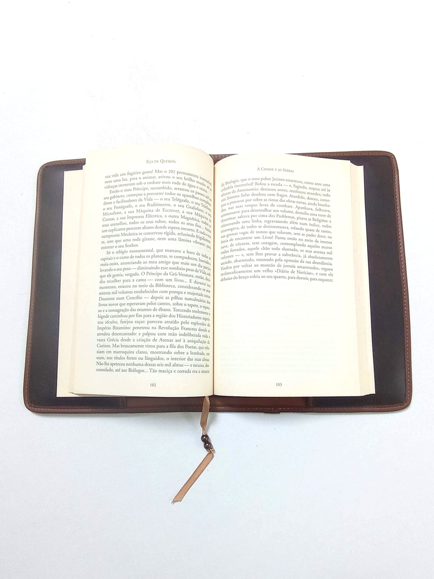 Capa de proteção de livros em pele
