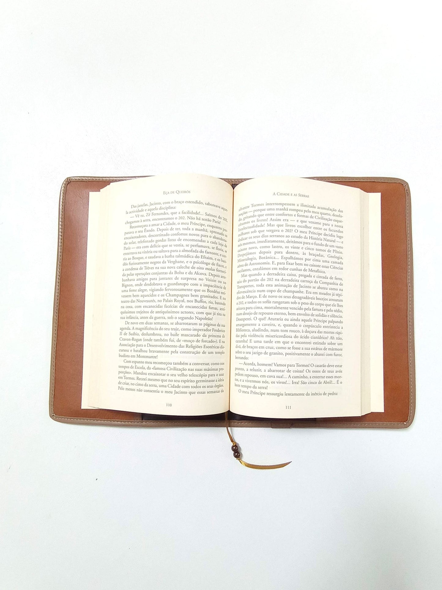 Capa de proteção de livros em pele