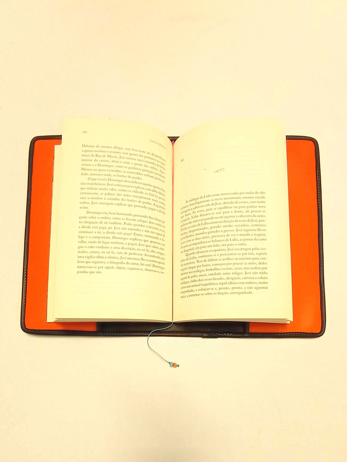 Capa de proteção de livros em pele