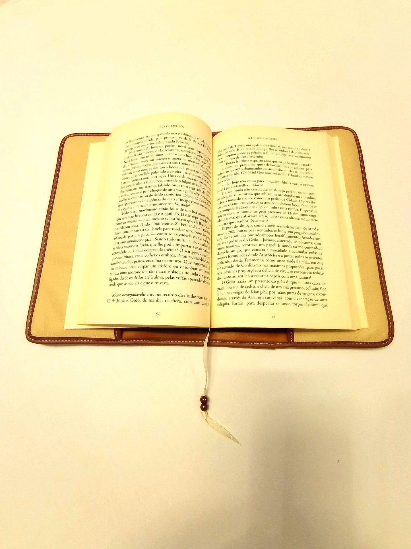 Capa de proteção de livros em pele