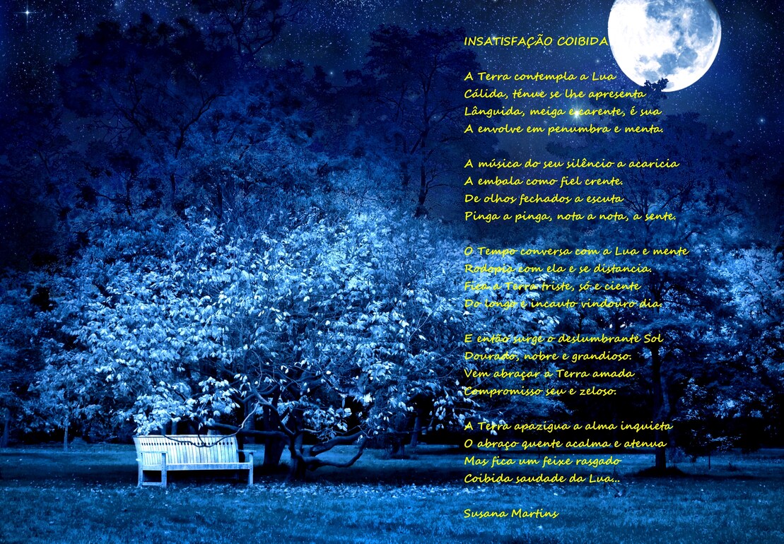 Capa proteção livros personalizada poemas