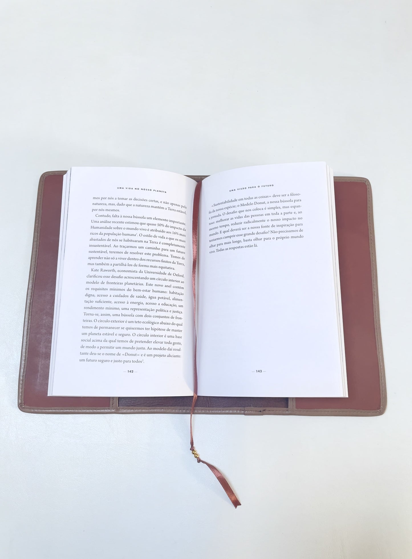 Capa  de proteção de livros em pele