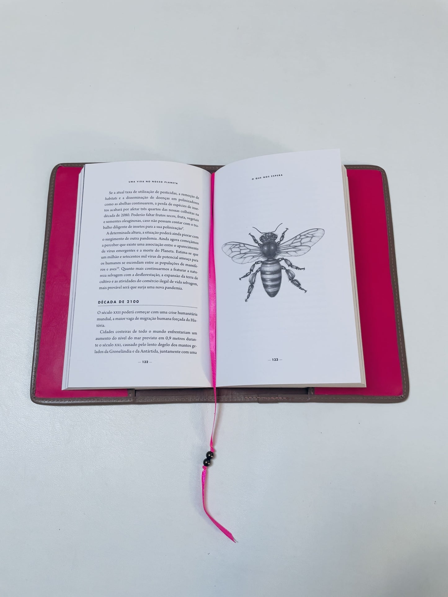 Capa  de proteção de livros em pele